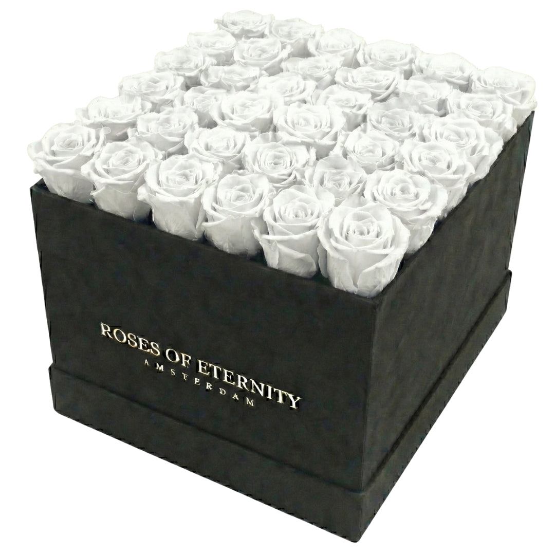 Squared Eternity (L)