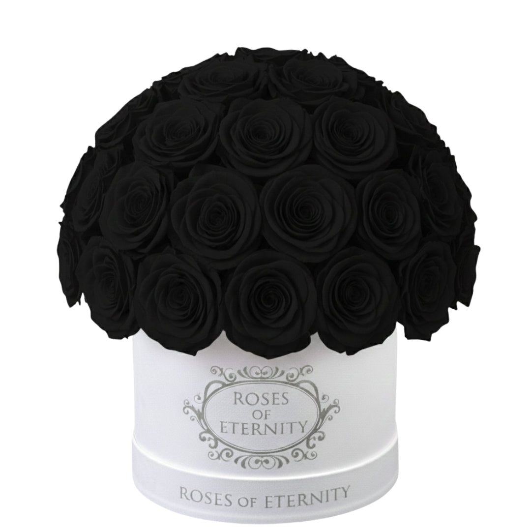 Infinite Promise (M)