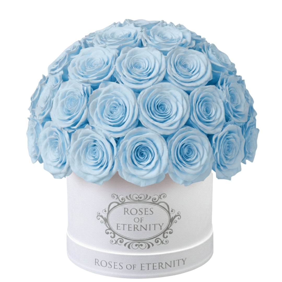 Infinite Promise (M)