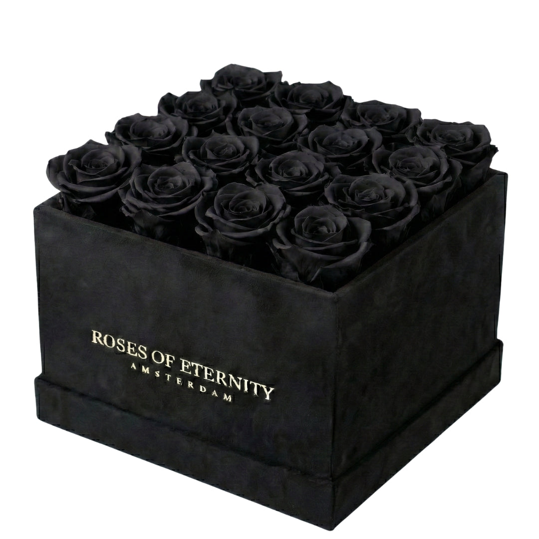 Squared Eternity (M)