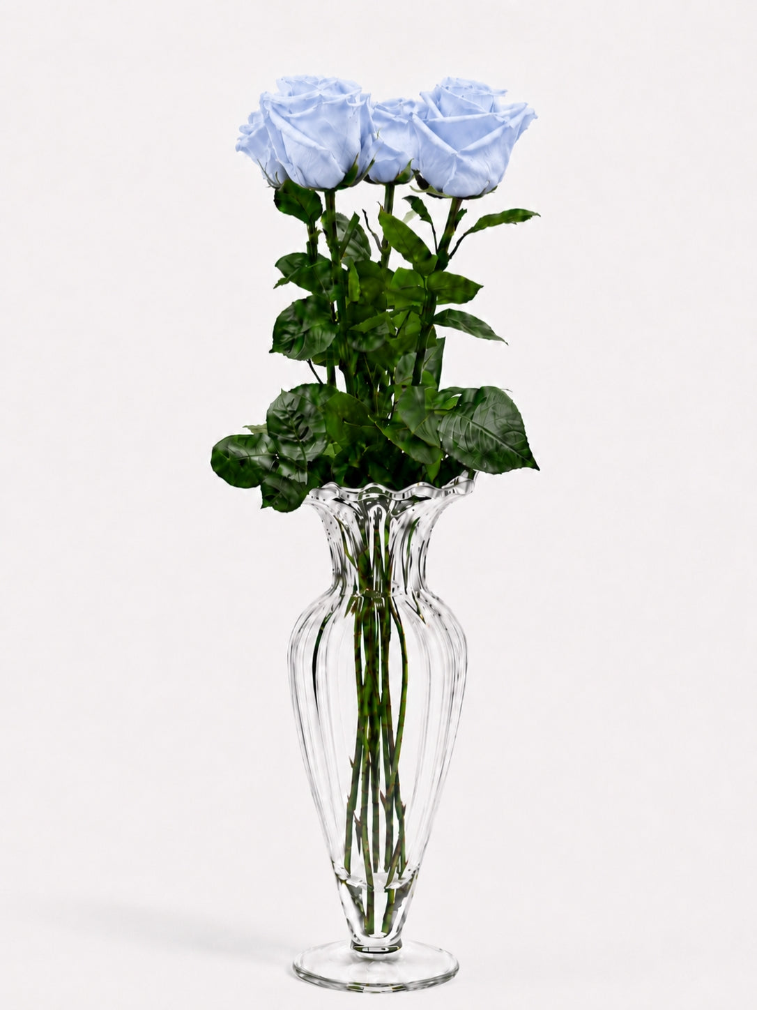 Eternity Roses ™