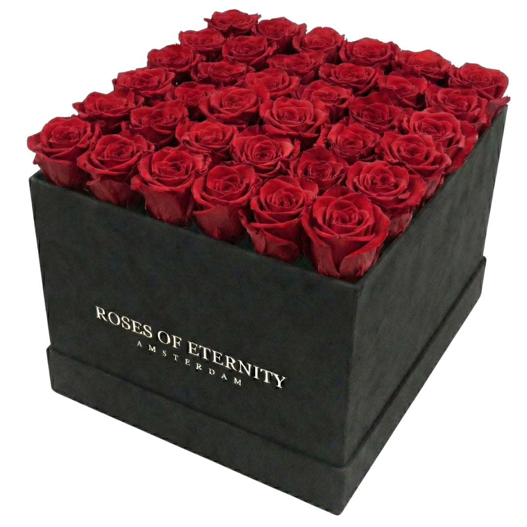 Squared Eternity (L)