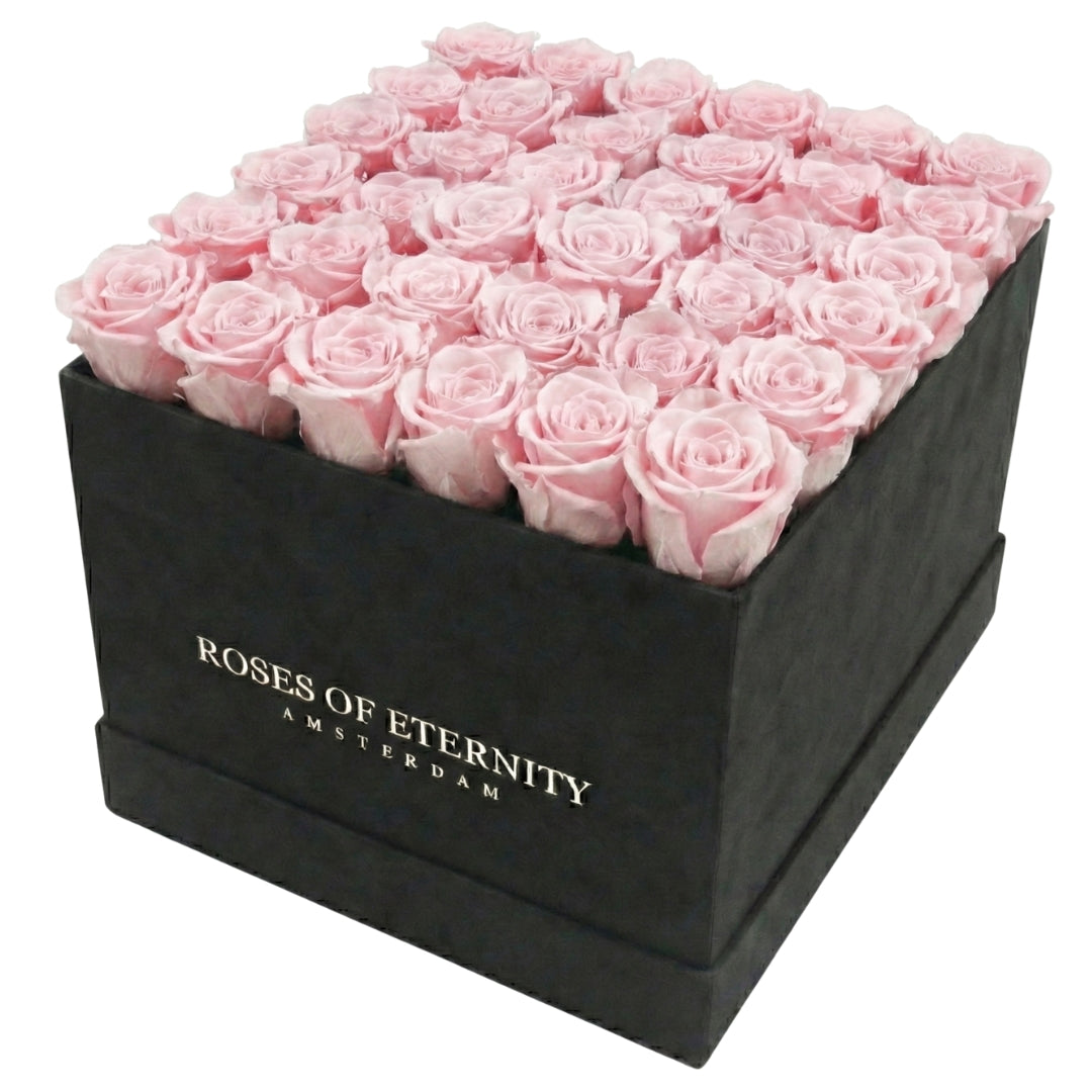 Squared Eternity (L)