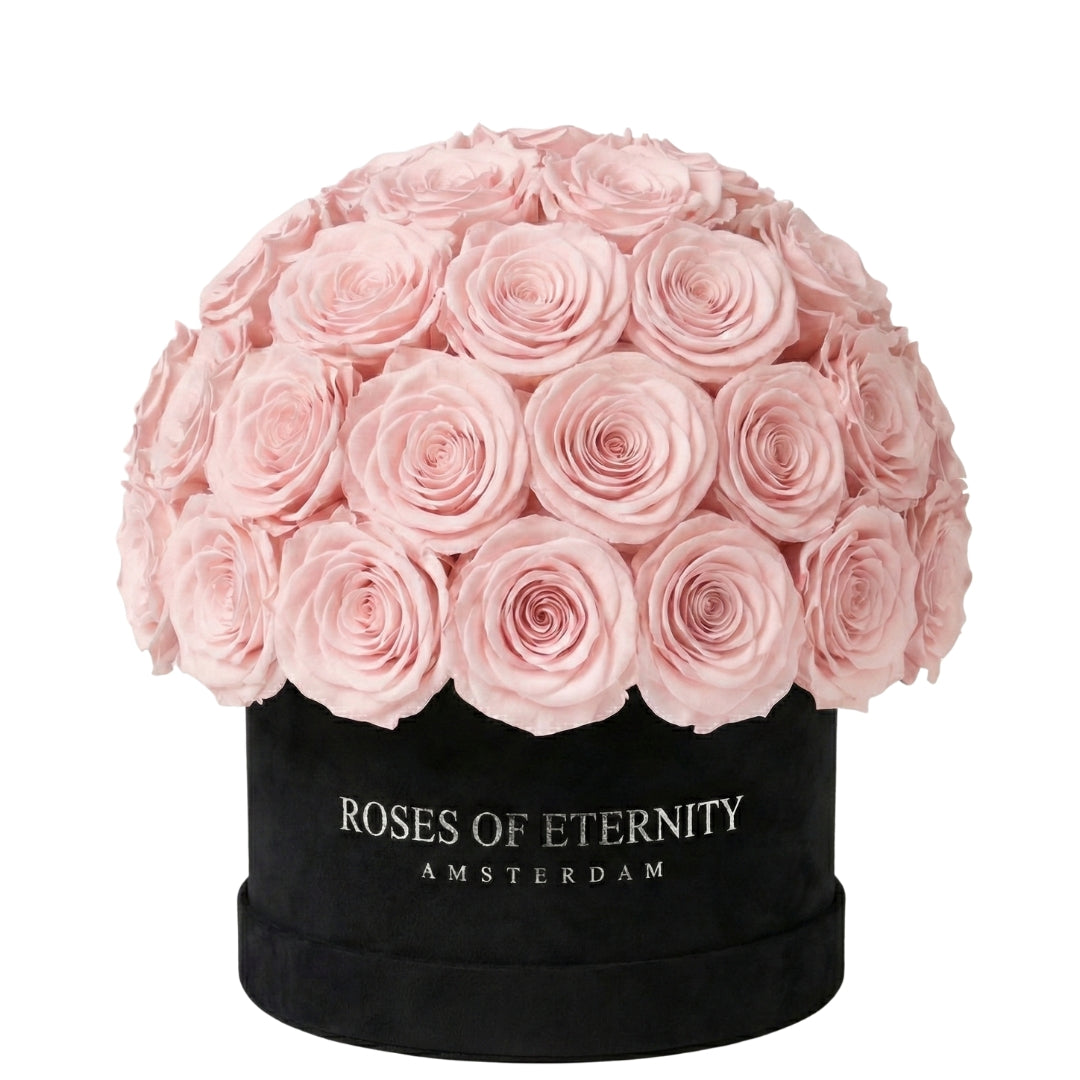 Infinite Promise (M)