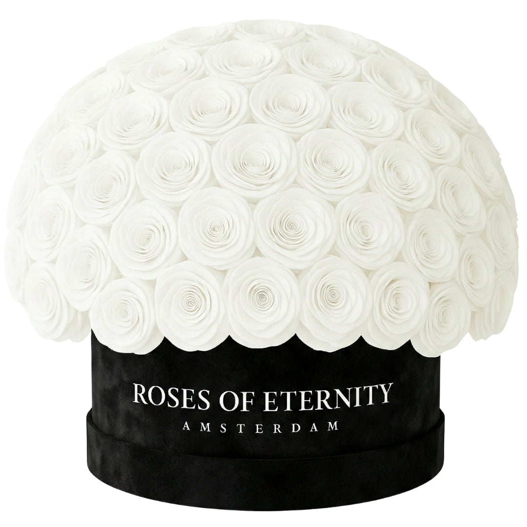 Infinite Promise (L)