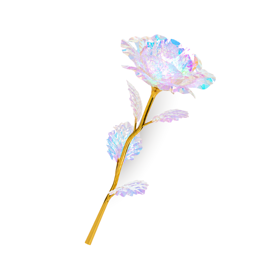 Galaxy Rose