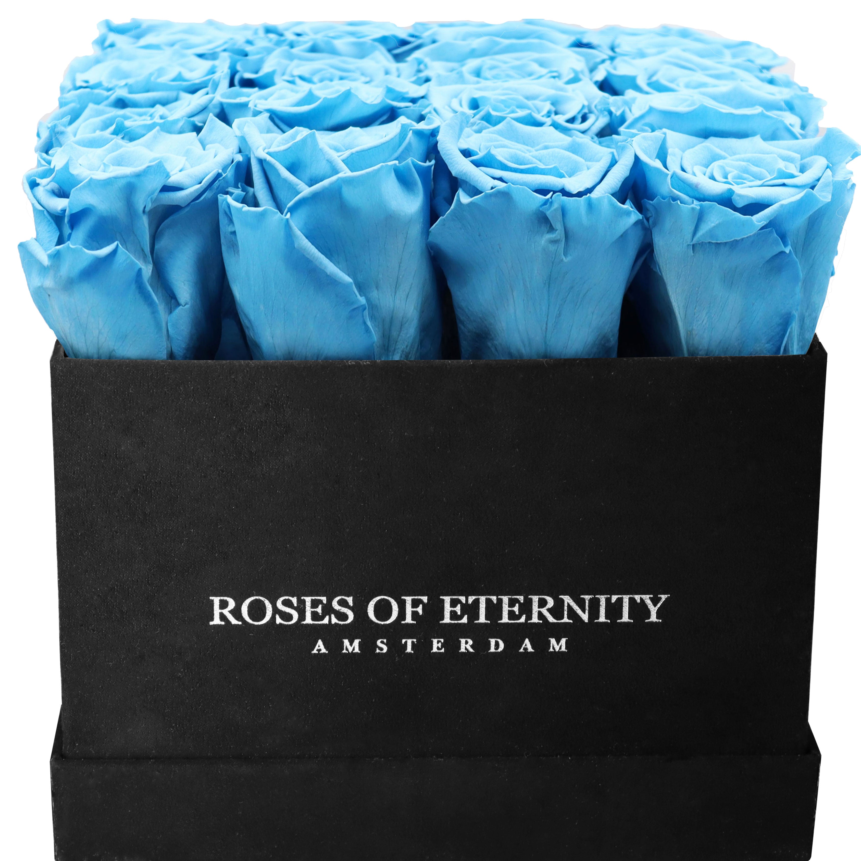 Squared Eternity (M)