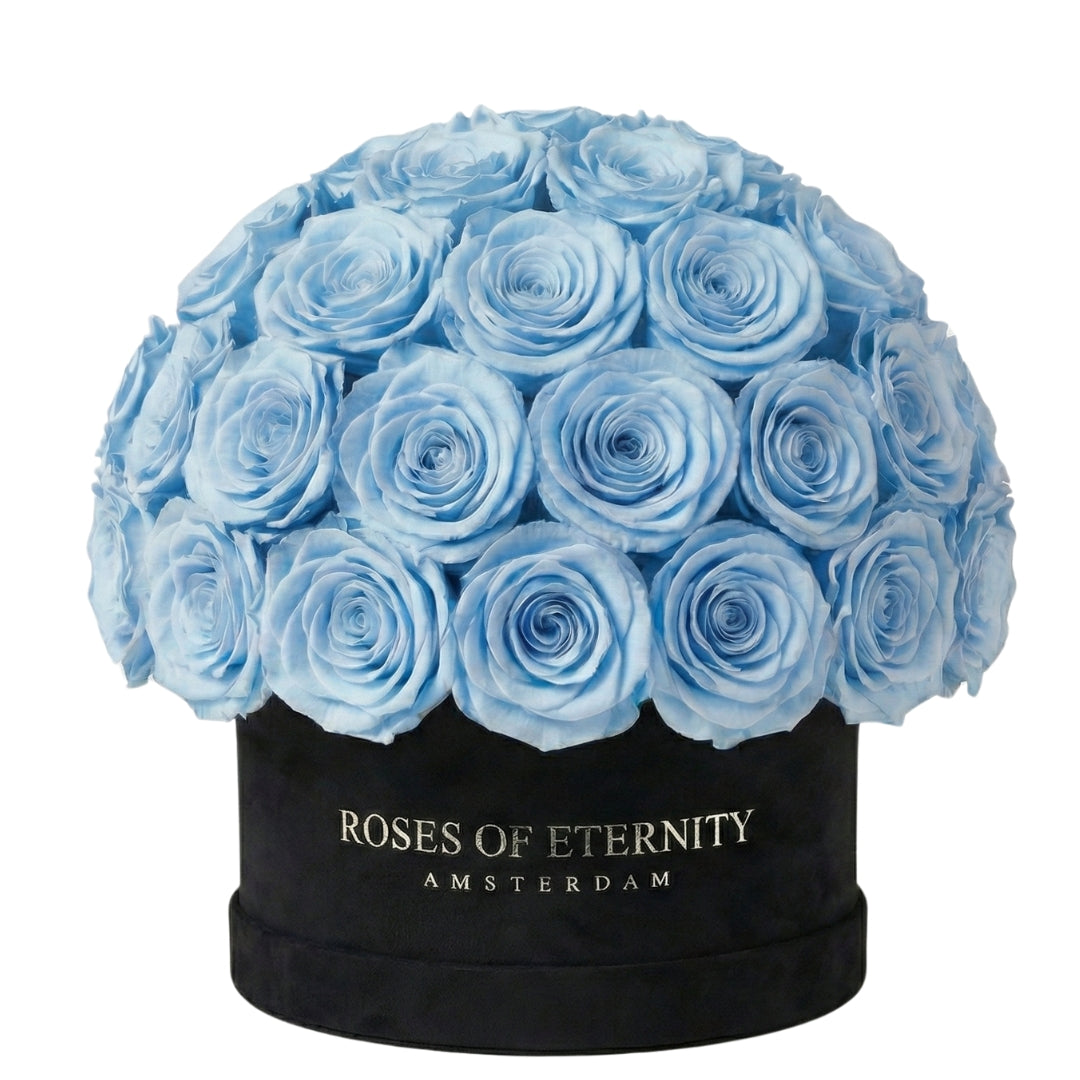 Infinite Promise (M)