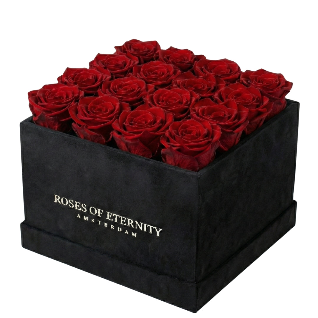 Squared Eternity (M)