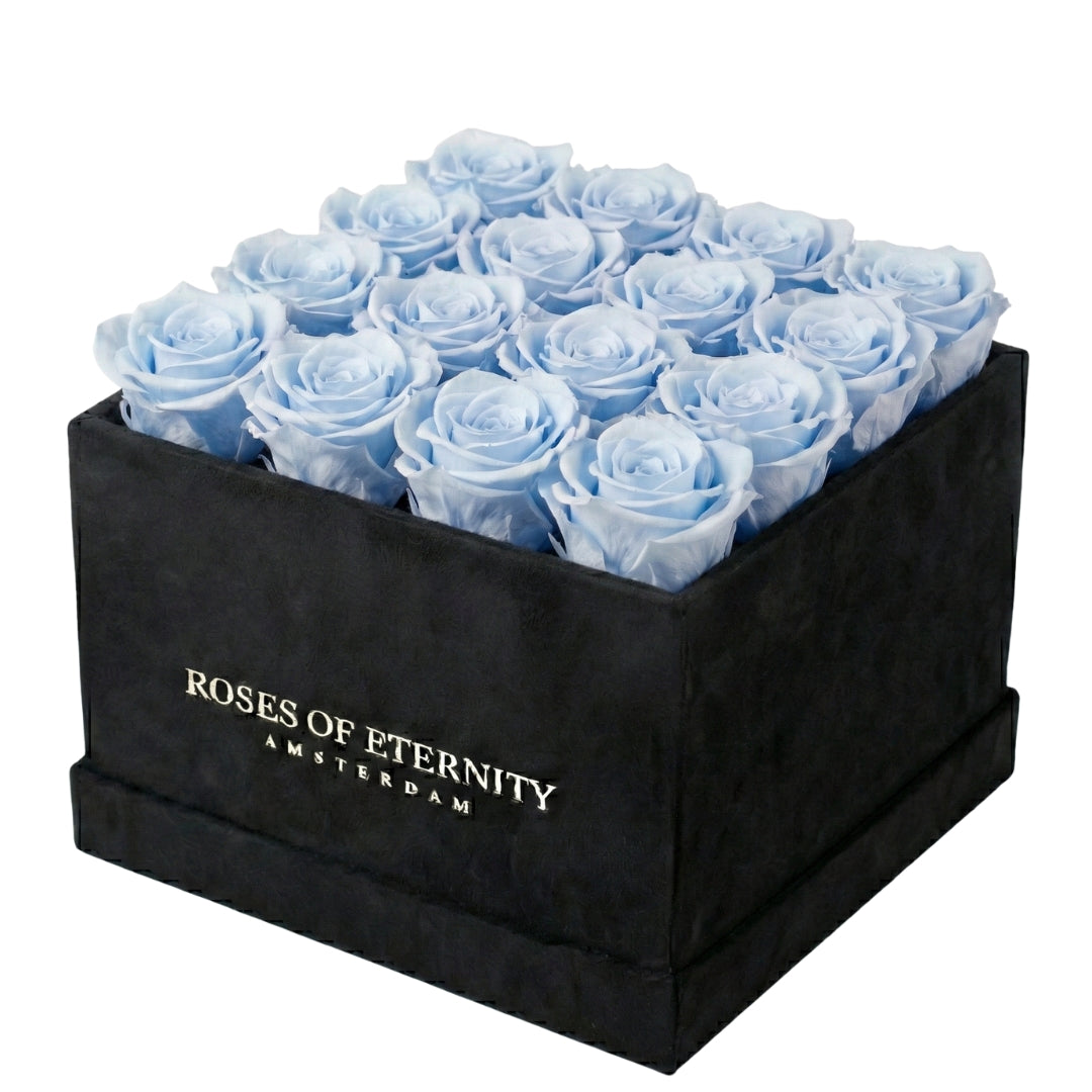 Squared Eternity (M)