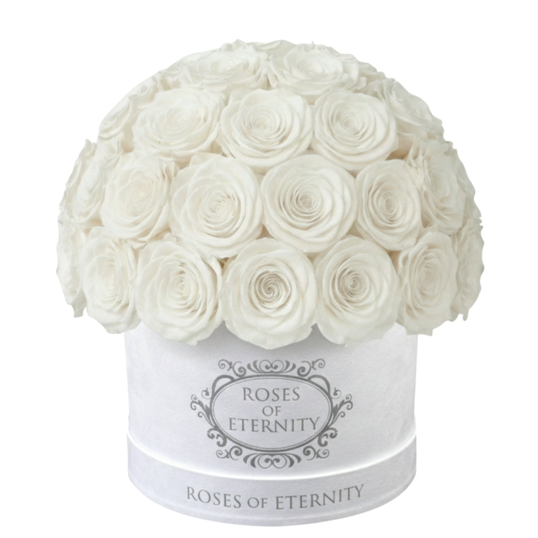 Infinite Promise (M)