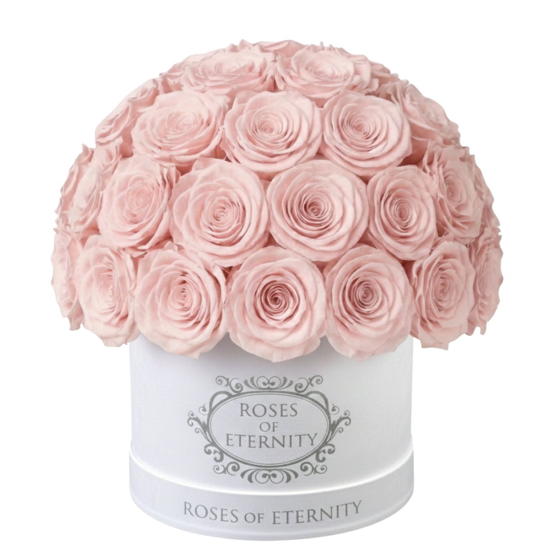 Infinite Promise (M)