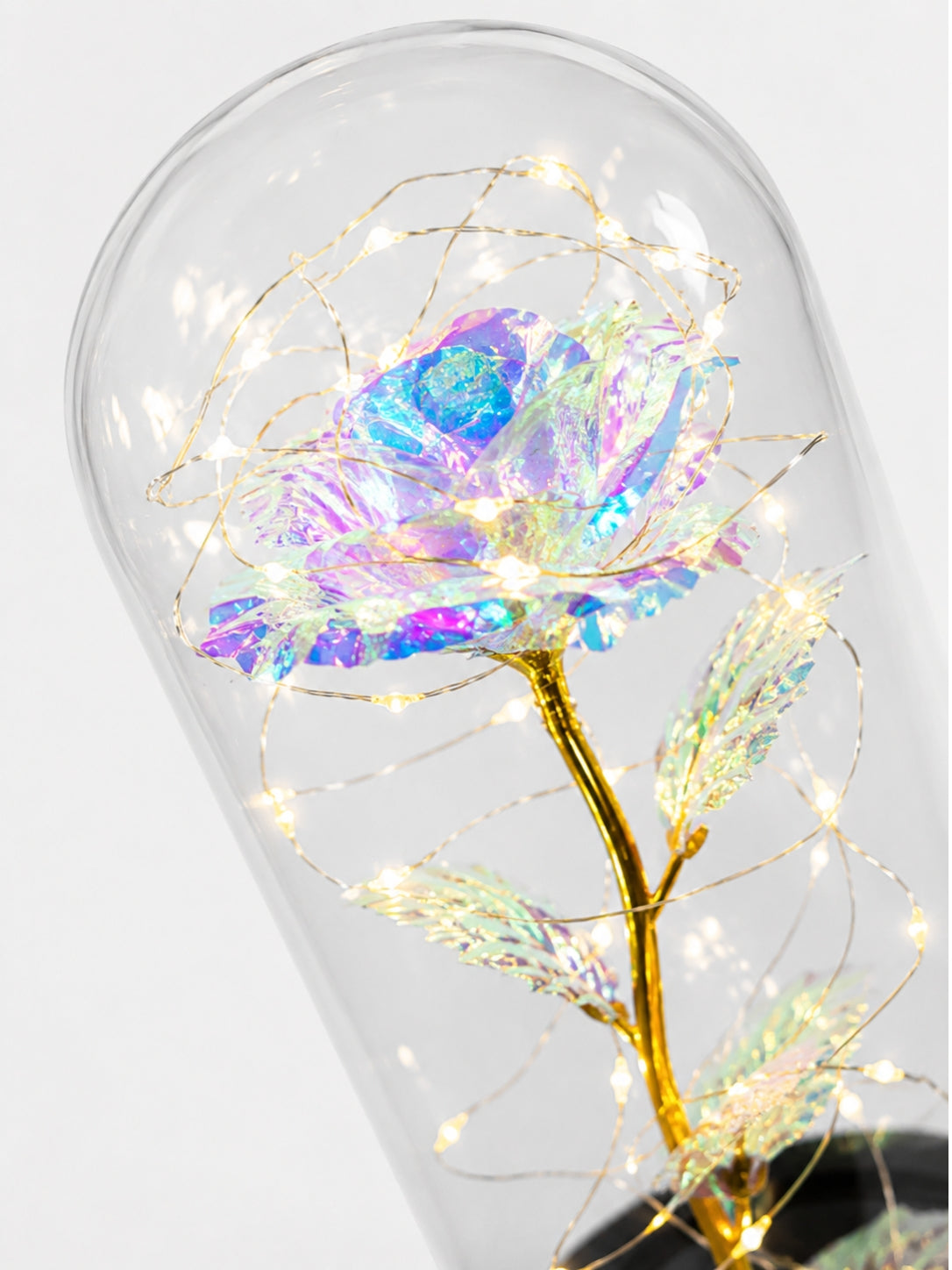 Limited Galaxy Rose