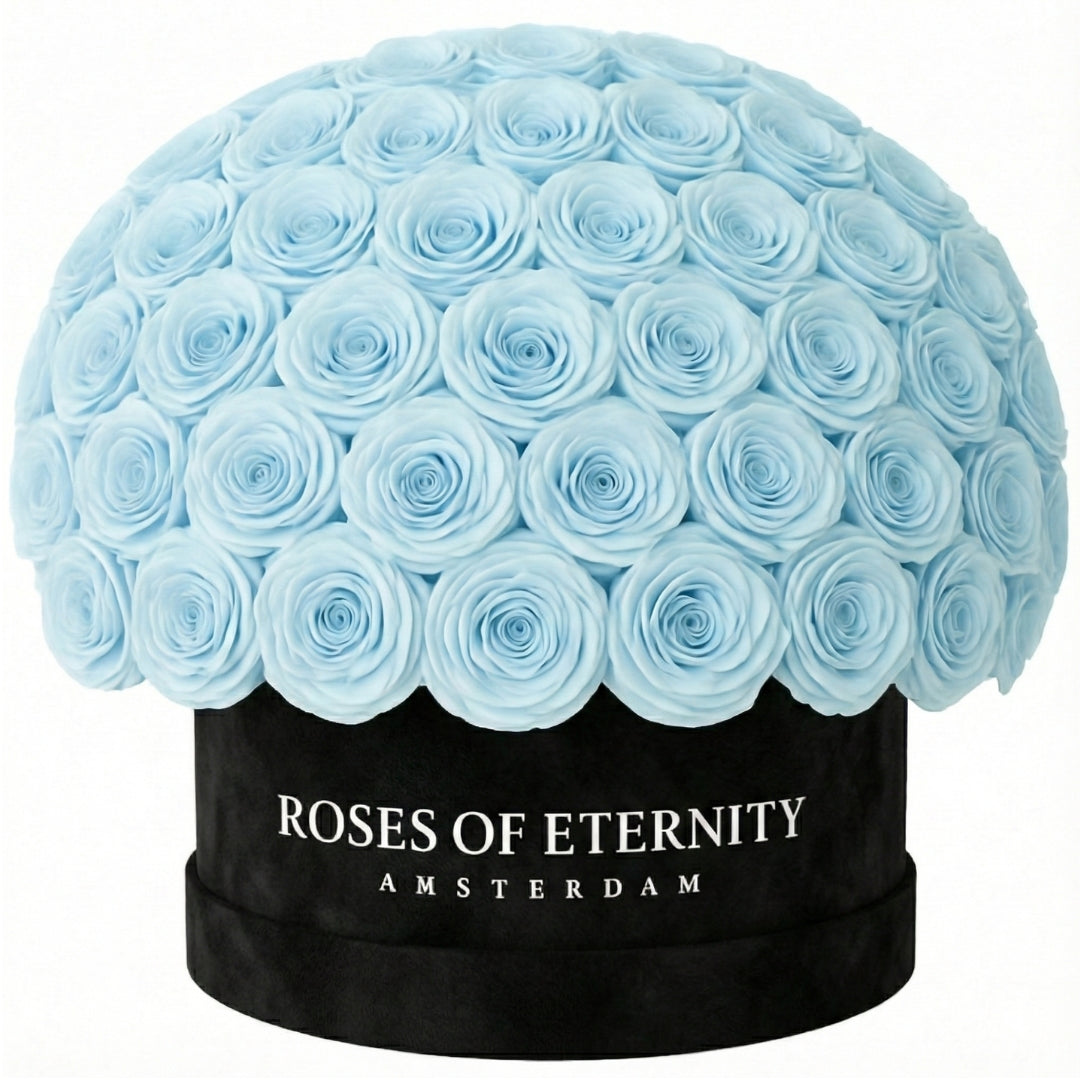 Infinite Promise (L)