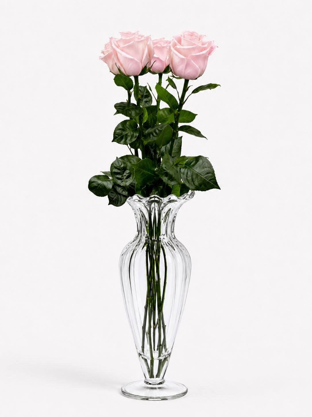 Eternity Roses ™