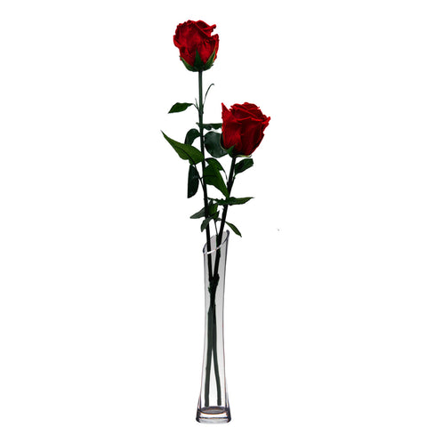 Dune Vase (1-3 Roses)