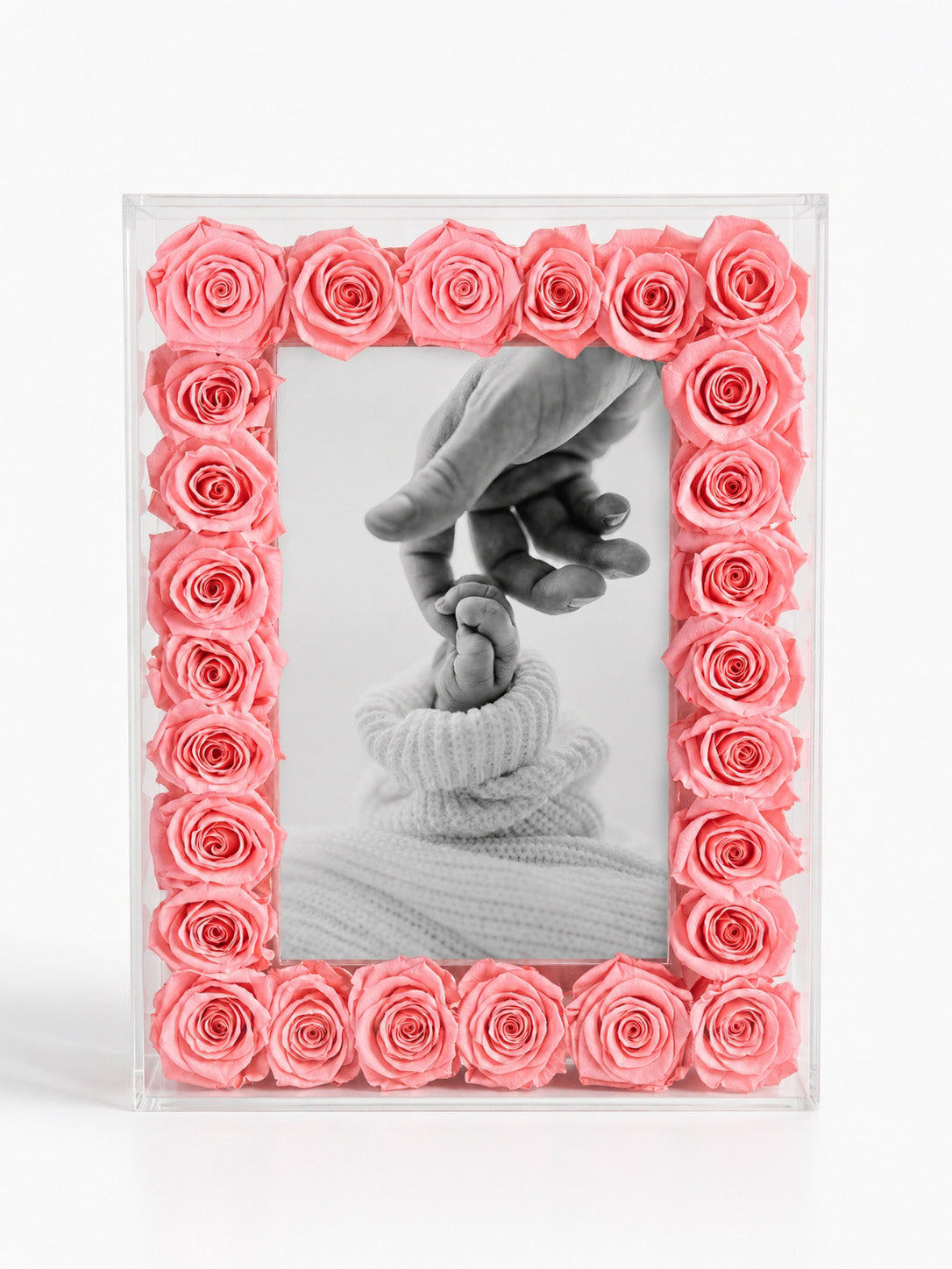 Eternal Rose Frame