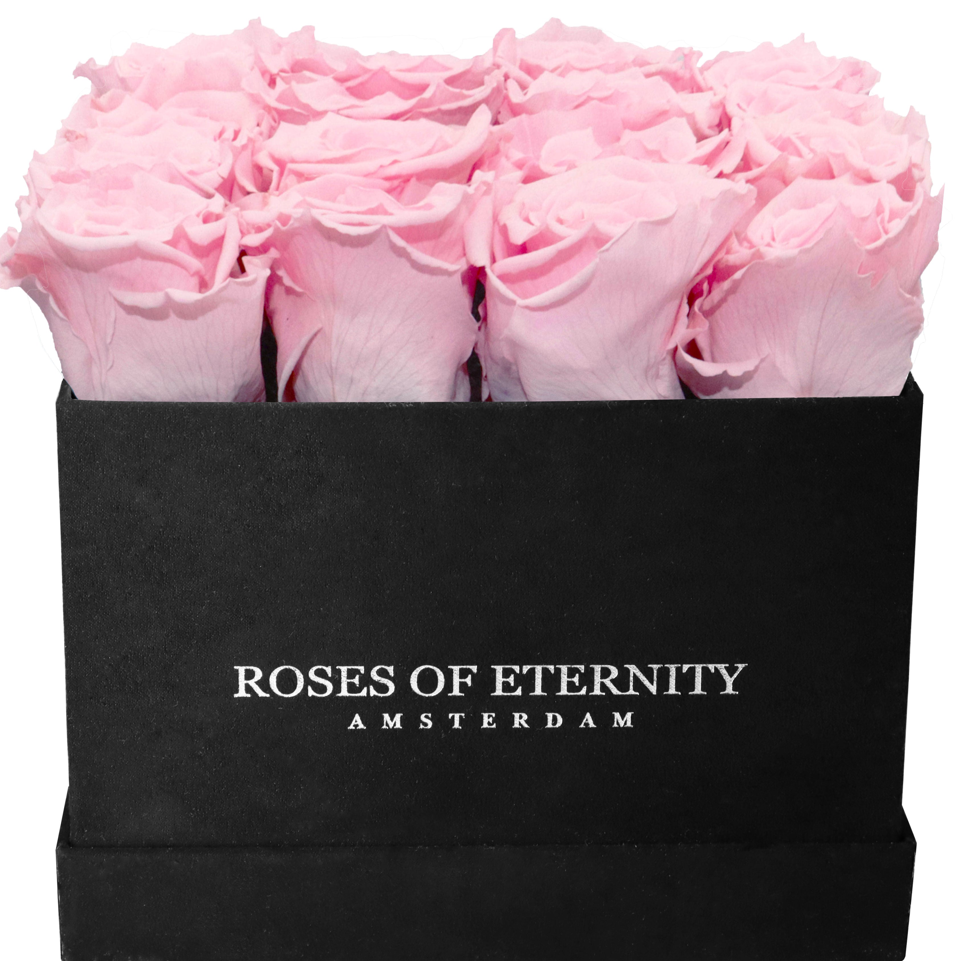 Squared Eternity (M)