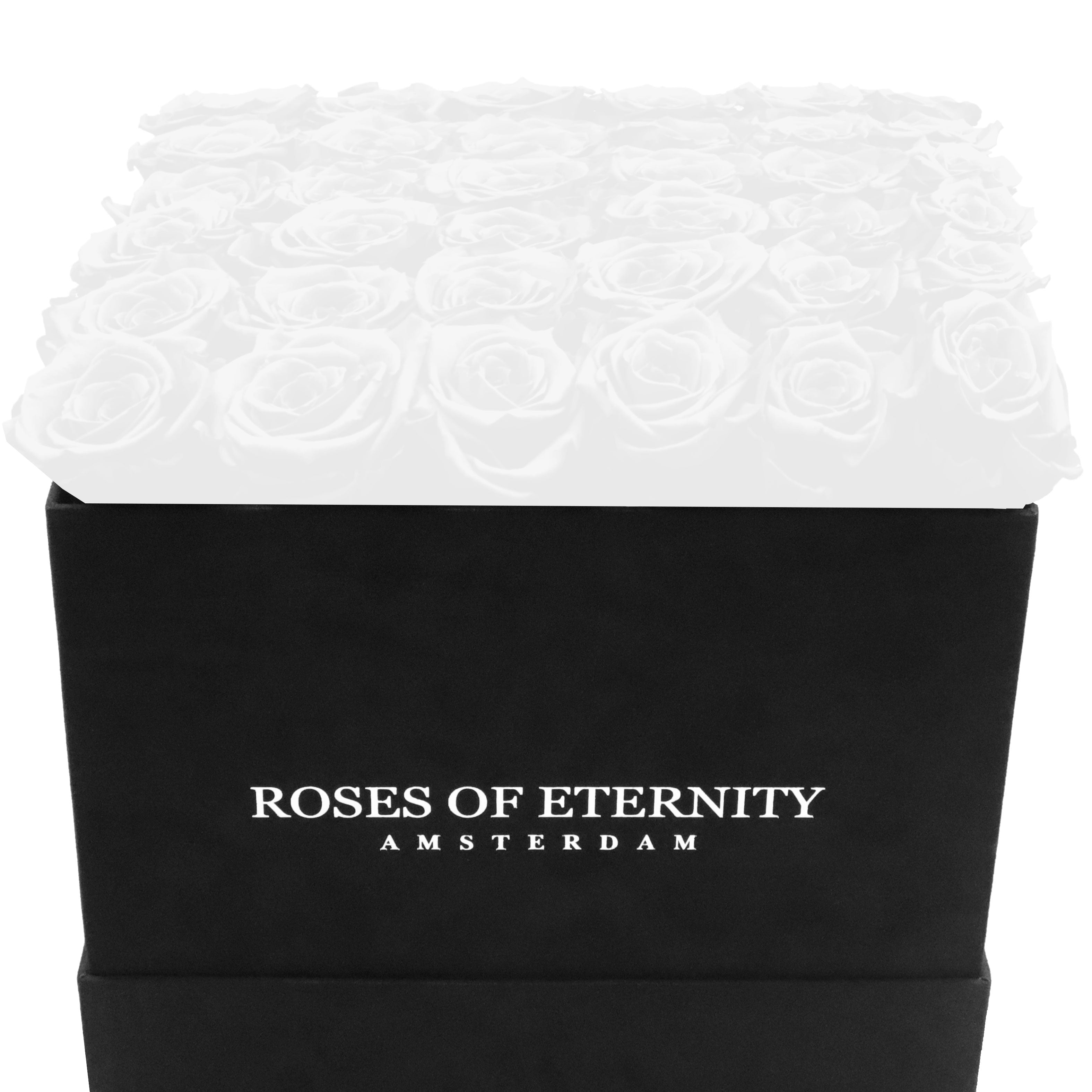 Squared Eternity (L)